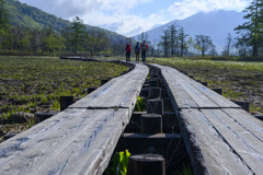 燧ヶ岳に向かう木道