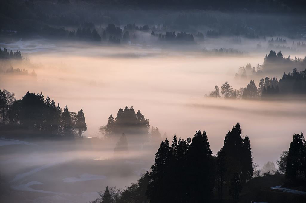 foggy wave