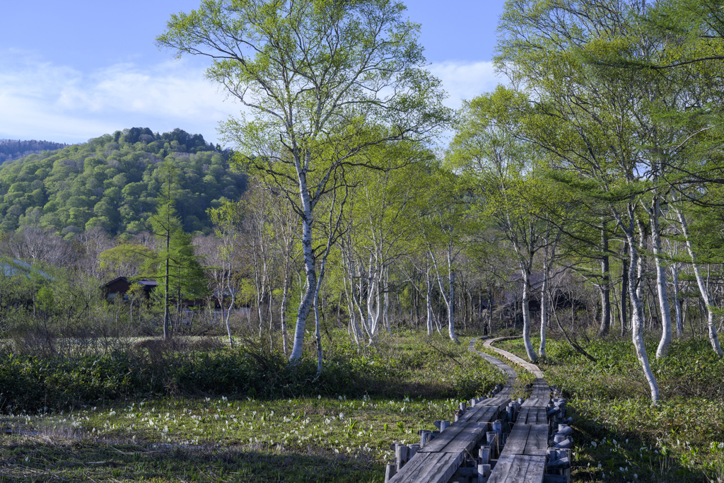 山の鼻の朝