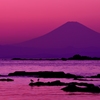 twilight moments