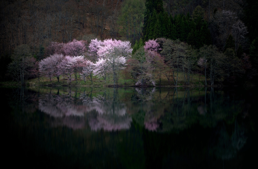 湖上の箱庭