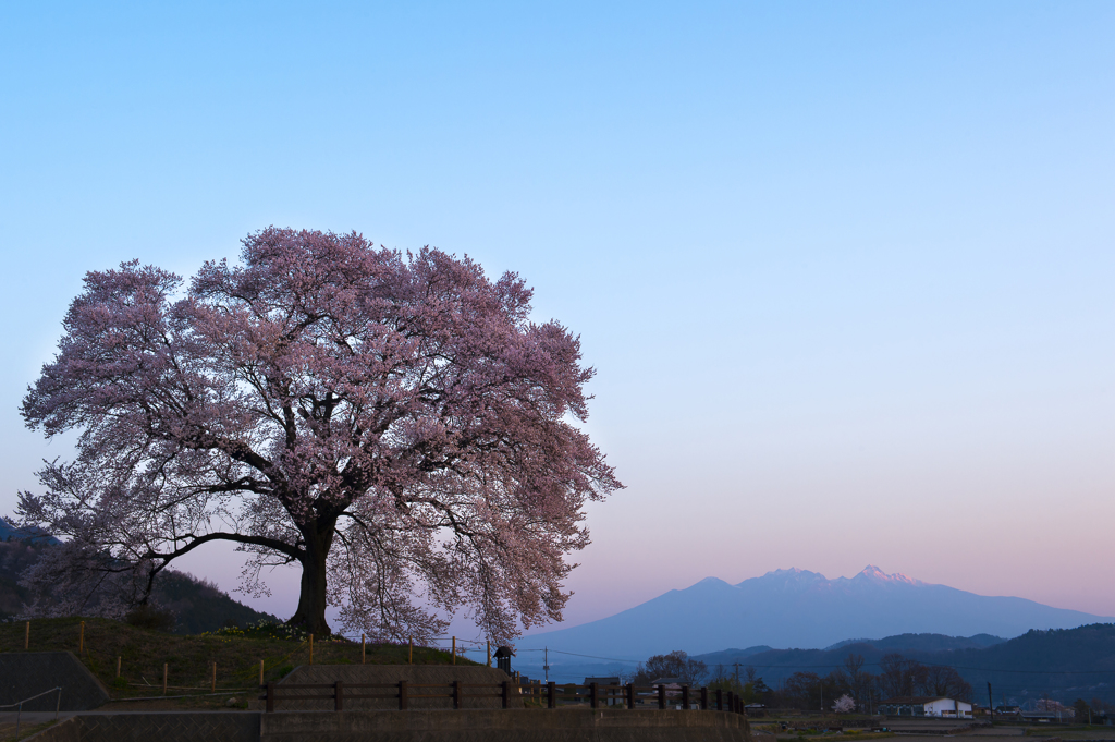 朝日昇る頃