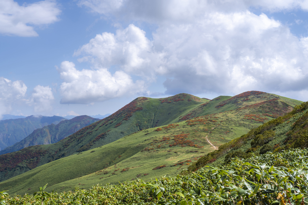 たおやかな山容