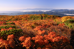 栗駒山紅葉登山