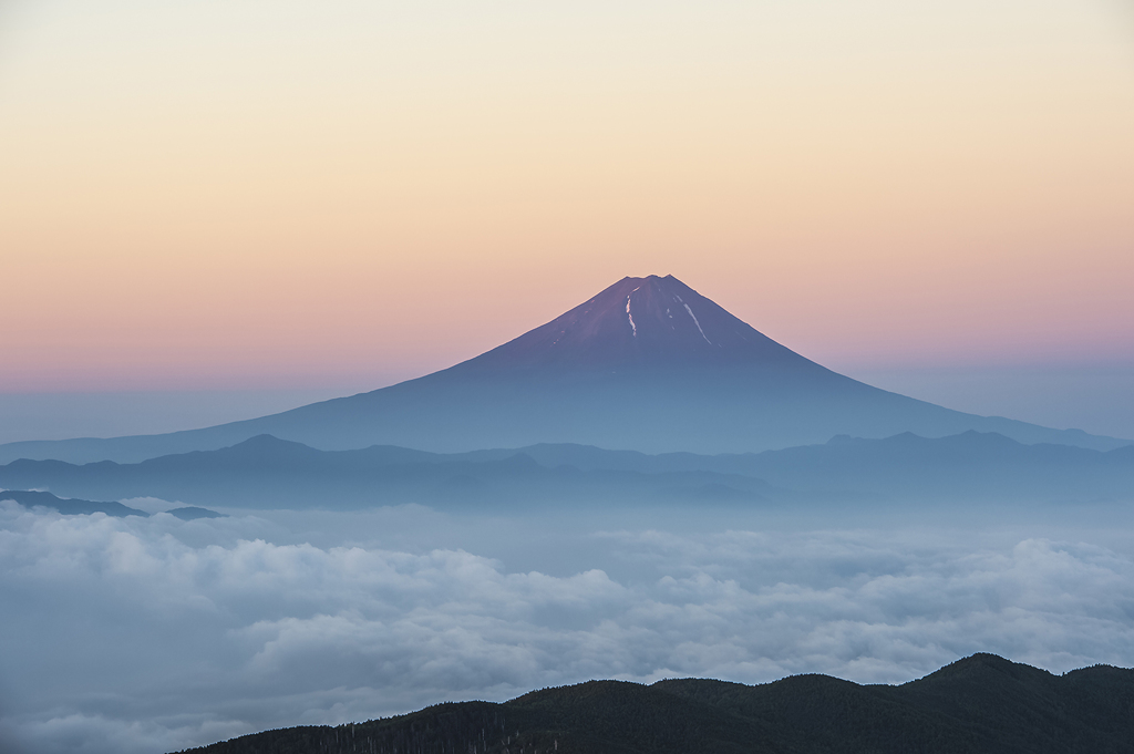 優しい朝日の中で