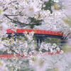春陽橋