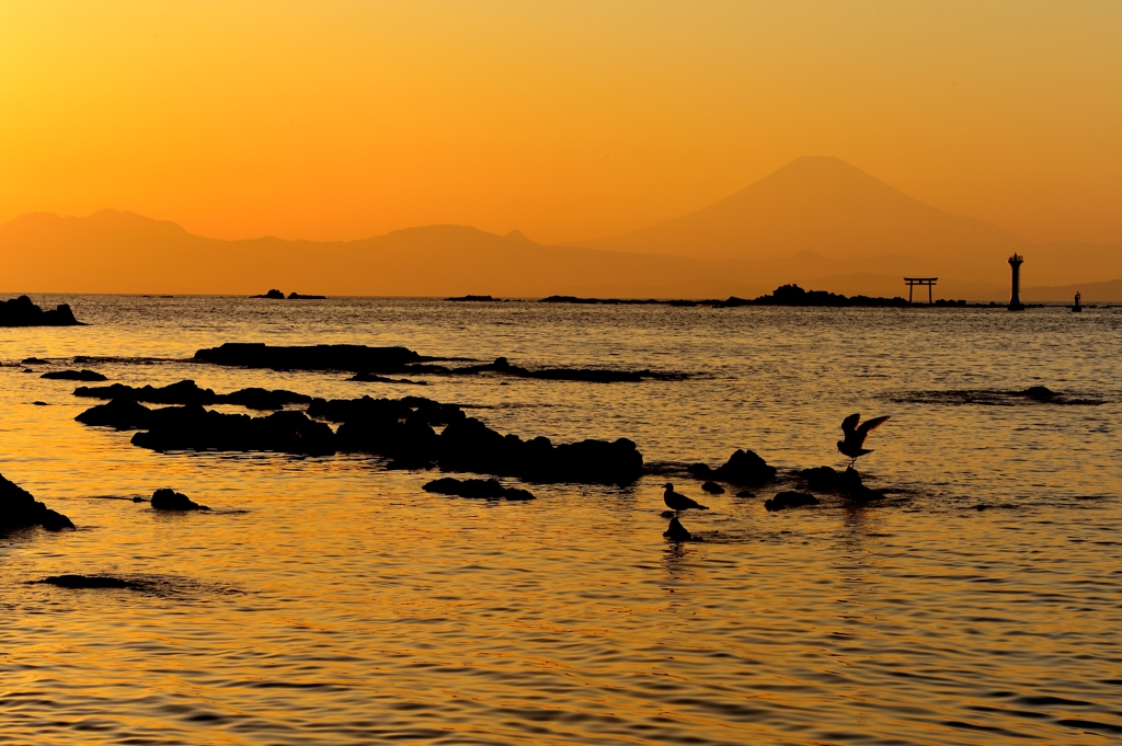 斜光の夕暮れに・・