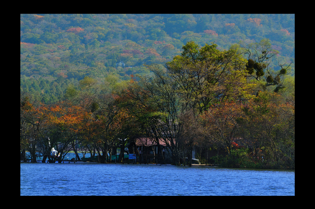 湖上の秋