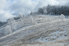 frosty slope