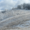 frosty slope