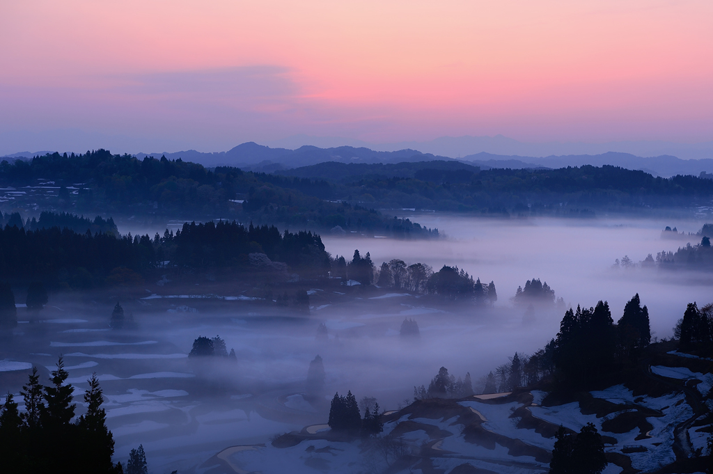 predawn glow