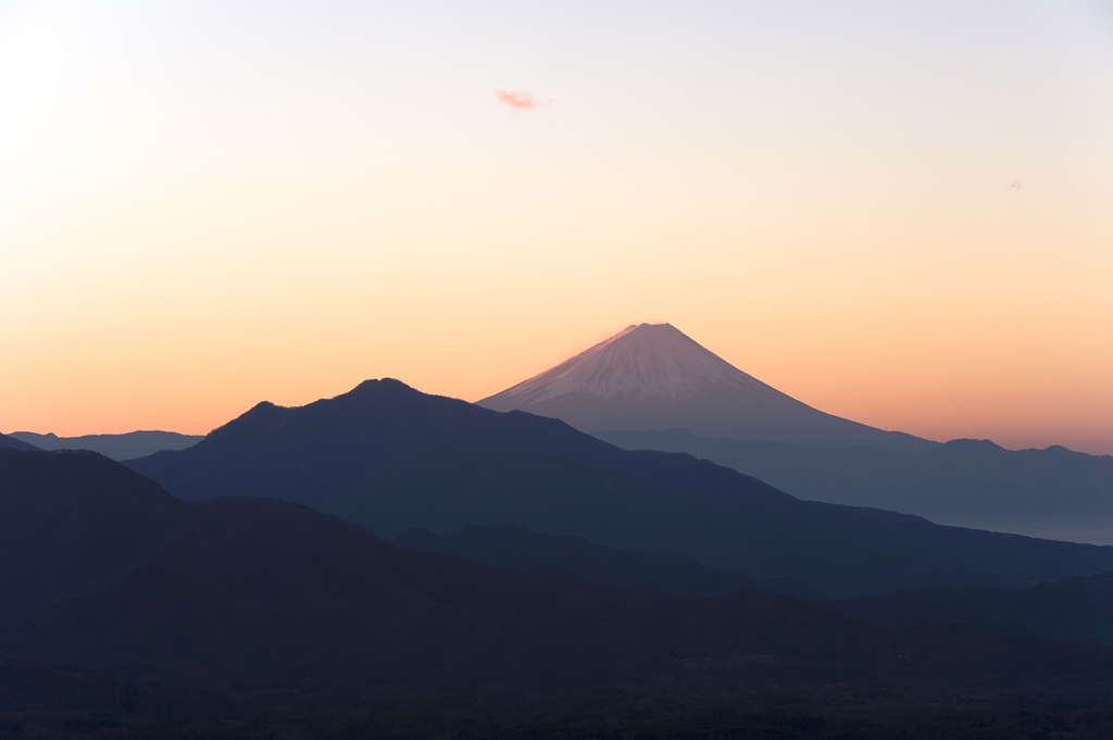 朝陽に染まって