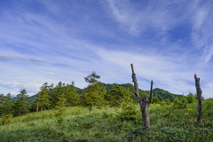 笠取山を目指して