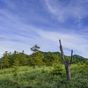 笠取山を目指して