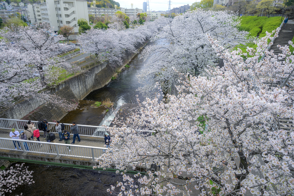 恩田川
