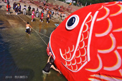 2010　豊浜鯛祭り
