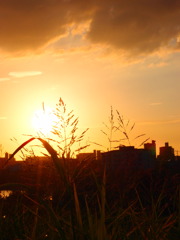 今日の夕日