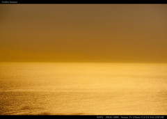 Golden horizon