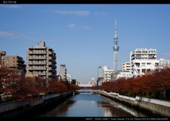 東京下町の秋