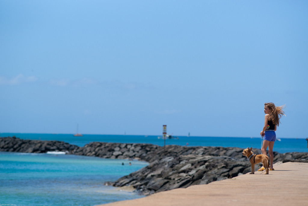 風と海と少女と犬。