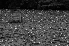極楽浄土