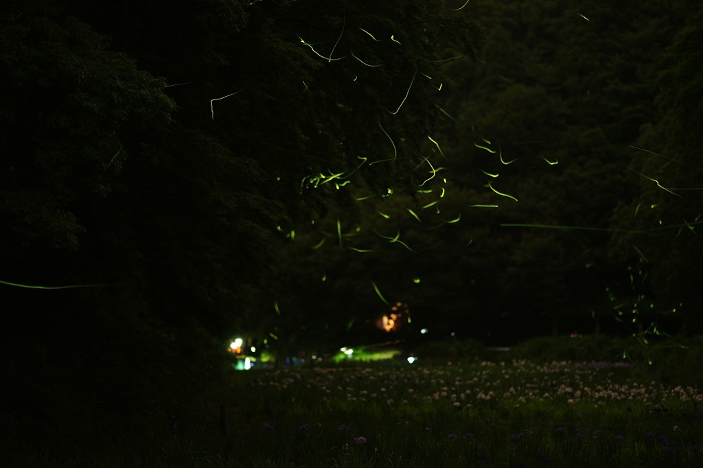 Mysterious Green