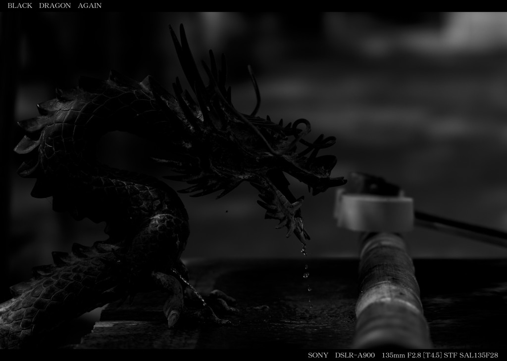 BLACK　DRAGON　AGAIN