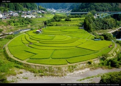 秘境の棚田