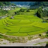 秘境の棚田