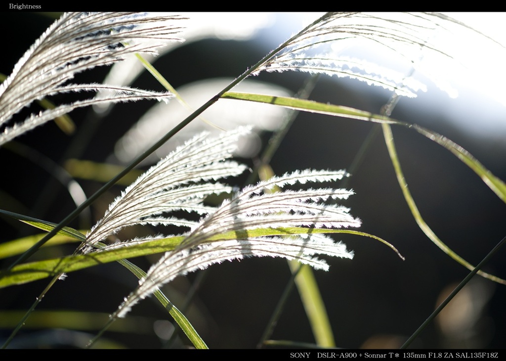 Brightness