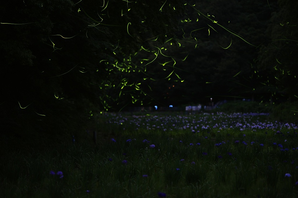 Fantastic Green