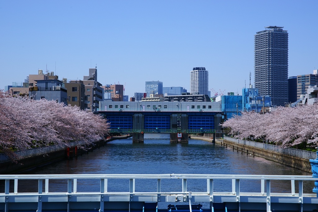さくら水門
