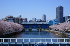 さくら水門