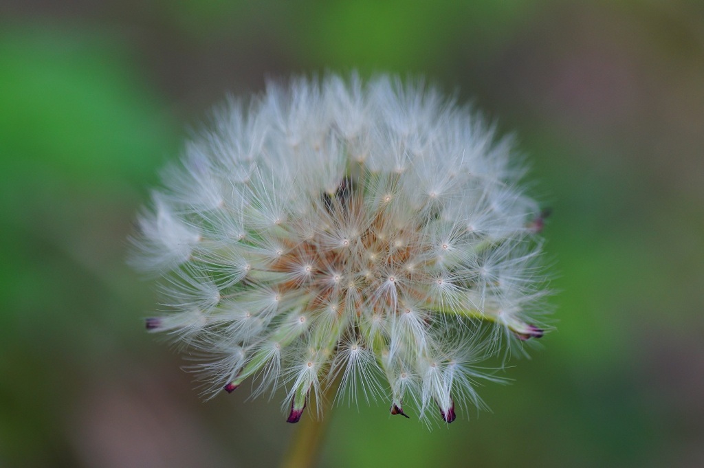 発進スタンバイ