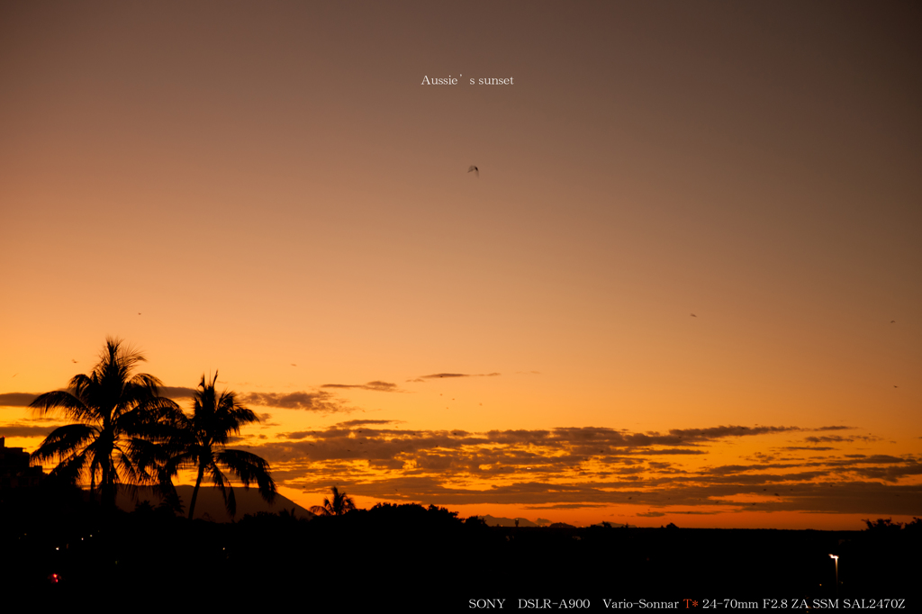 Aussie's sunset
