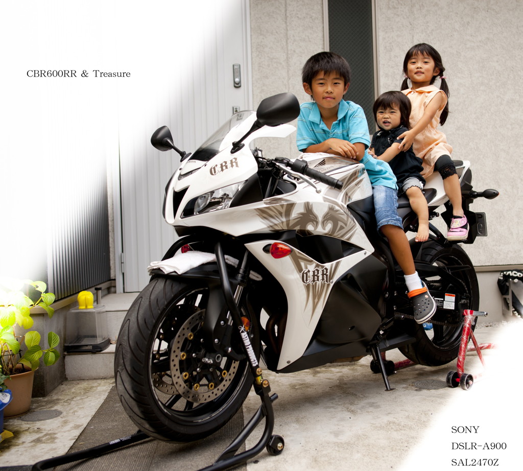 CBR600RR & Tresure