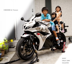 CBR600RR & Tresure