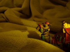cameｌ
