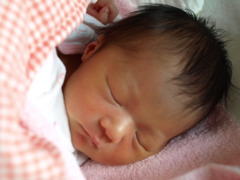 ＢＡＢＹ