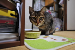 ワル顔