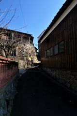 路地裏