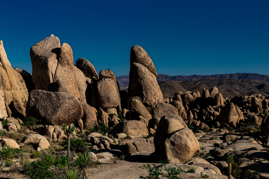 Joshua Tree National Park