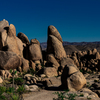 Joshua Tree National Park