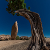 Joshua Tree National Park