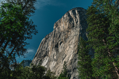 Yosemite National Park