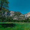 Yosemite National Park