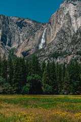 Yosemite National Park