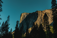 Yosemite National Park