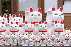 招き猫たち