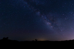 Joshua Tree National Park